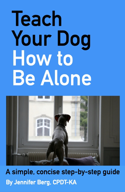 How to Train Dog to Be Home Alone: Effective Tips for Success