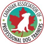 Regina Dog Training near me CAPDT member